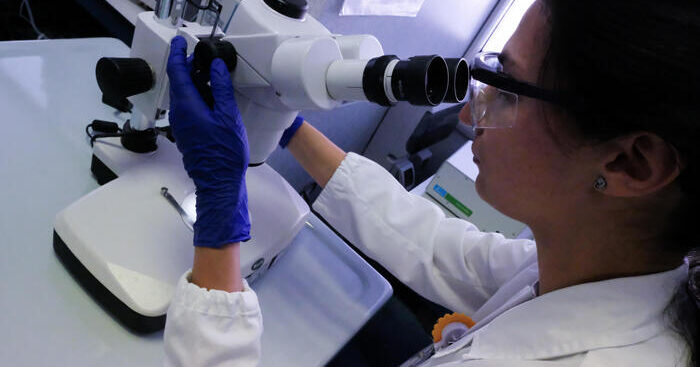 pap-test-e-visite-diabetologiche-gratis-per-studenti-a-urbino