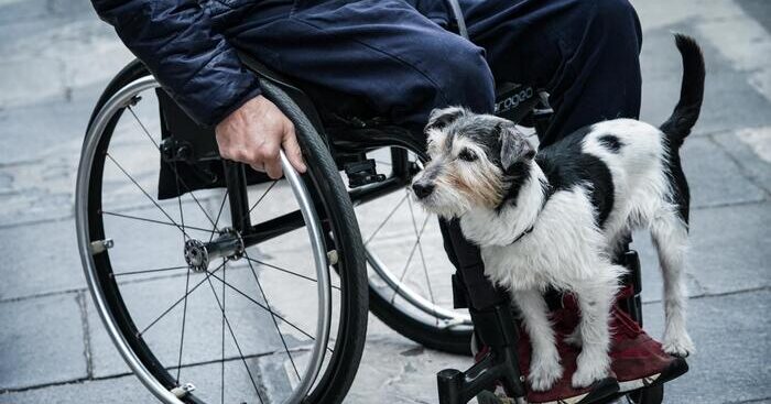 anffas,-garante-disabilita-indipendente-per-assicurare-i-diritti