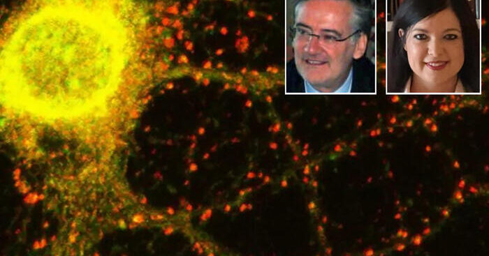 alzheimer,-italiani-scoprono-nuovo-gene-che-causa-malattia