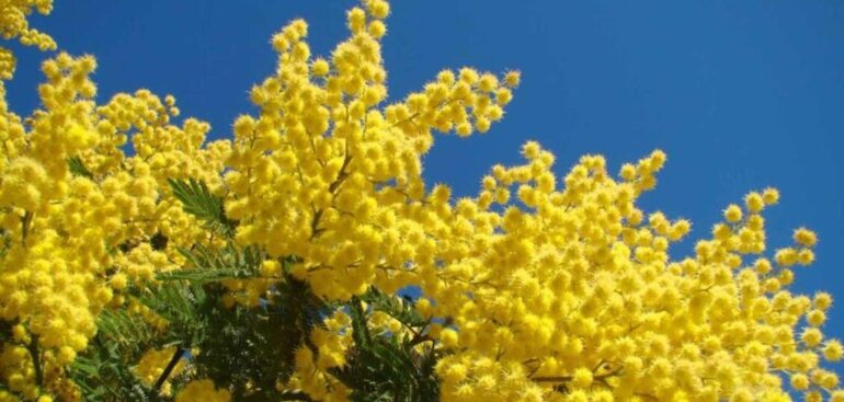 iss,-al-via-nuovi-test-sul-genoma-delle-donne-vittime-di-violenza