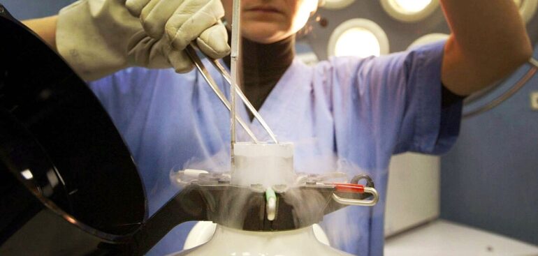 adozione-embrioni-congelati,-ministeri-al-lavoro-su-testo