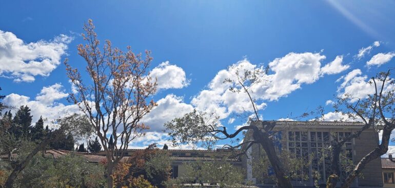 corsi-meyer-su-effetti-digitale-e-ia-su-eta-evolutiva-bambini