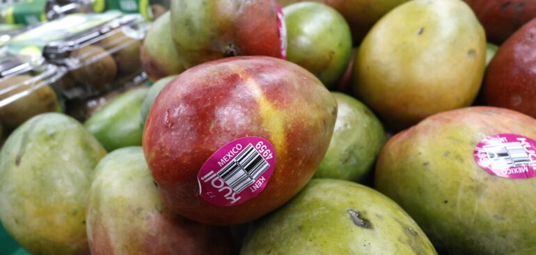 omega-3-fondamentali-per-longevita-ma-italiani-carenti