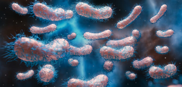 linee-guida-sulla-sepsi,-antibiotici-entro-un’ora-anche-in-ambulanza