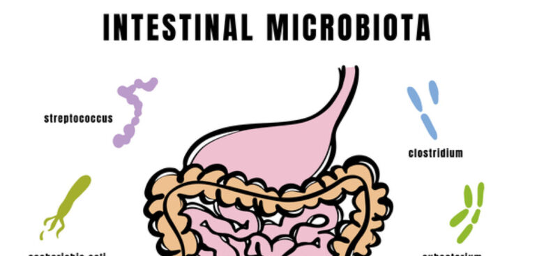 il-microbiota-intestinale-si-compone-gia-nei-primi-mesi-di-vita