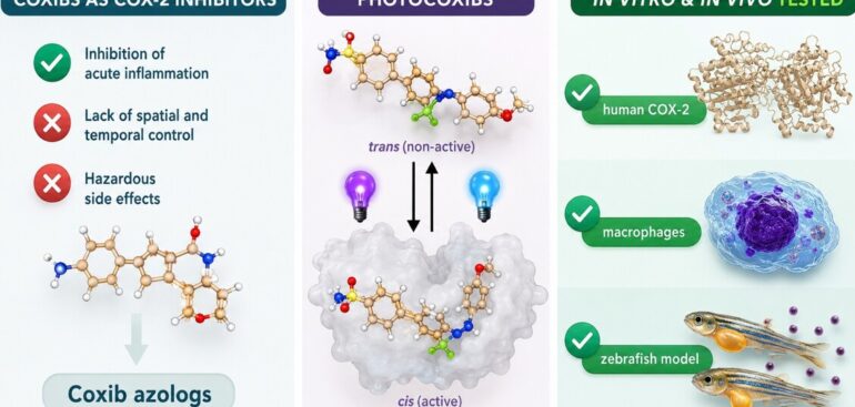 nuovi-farmaci-antinfiammatori-‘a-comando’,-si-attivano-con-la-luce-del-sole