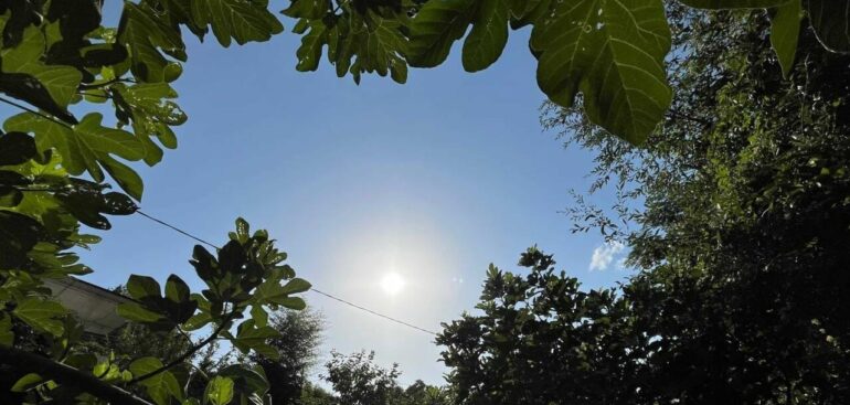 temperature-in-risalita-e-picchi-di-40-gradi,-possibile-svolta-dal-17-agosto