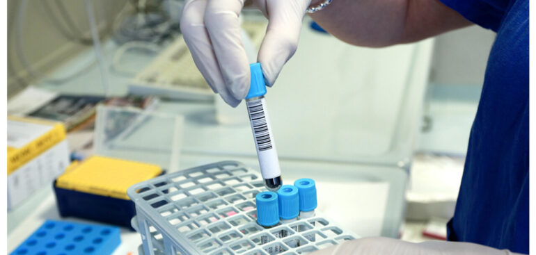 da-verona-70-modelli-di-tumore-per-la-ricerca-oncologica-internazionale