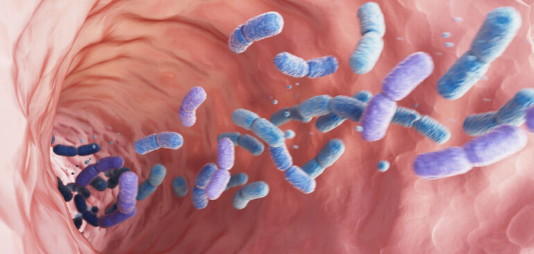il-microbiota-intestinale-anticipa-le-malattie-croniche-fino-a-decenni-prima