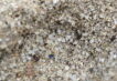 microplastiche-nella-placenta-e-negli-ovociti,-‘studiare-possibili-effetti-su-salute’