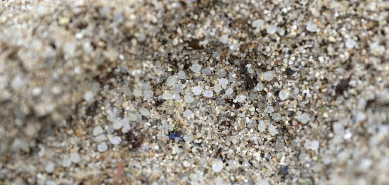 microplastiche-nella-placenta-e-negli-ovociti,-‘studiare-possibili-effetti-su-salute’